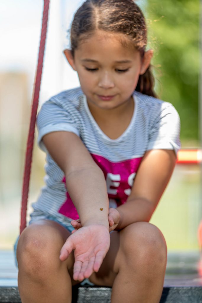 Rollebol Toddler Care